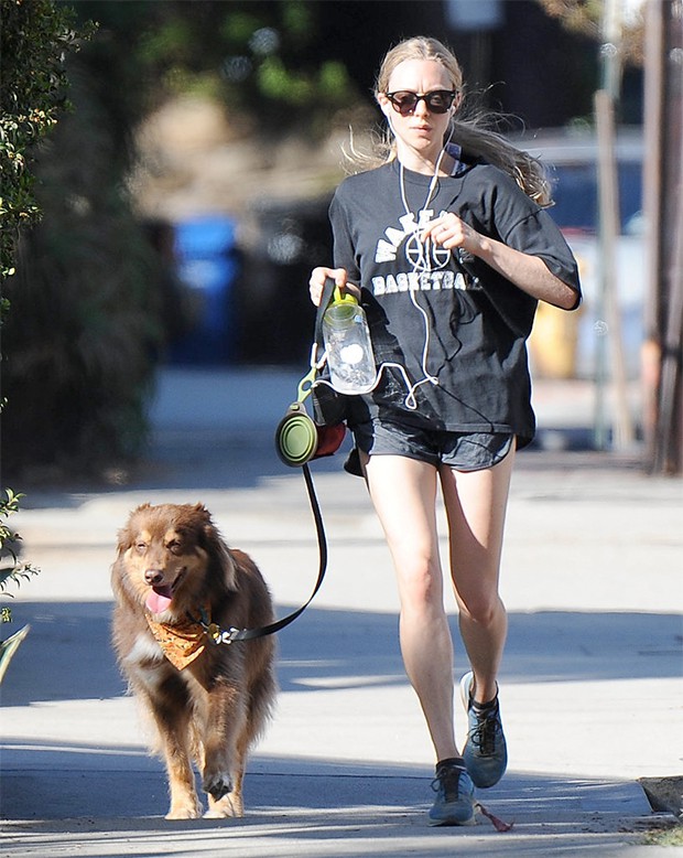 dog-food-amanda-seyfried_01
