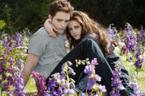 cc13a34f5ec8826717067b3c792afe8c3aaf8830