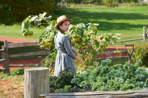 11 2公開 赤毛のアン 3部作完結編 赤毛のアン 卒業 日本版予告編 Cuemovie Com