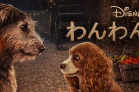Lady_And_The_Tramp_2019_JPN_Keyart_L316_HD_1920x608-5eb9d1edf7a54a470734c631