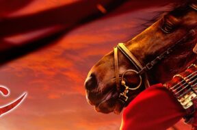 Mulan_2020_JPN_Keyart_L316_HD_1920x608_svod-5fbe306690255ba63af2c696