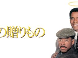 Preachers_Wife_The_JPN_Keyart_Hero_L316_HD_1920x608-5c6338c421b5736e5c7f6a7c