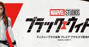 BlackWidow_L316_1920x608_2A-60d07ea9a33ee10bc29d7c3c