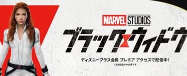 BlackWidow_L316_1920x608_2A-60d07ea9a33ee10bc29d7c3c
