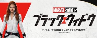BlackWidow_L316_1920x608_2A-60d07ea9a33ee10bc29d7c3c