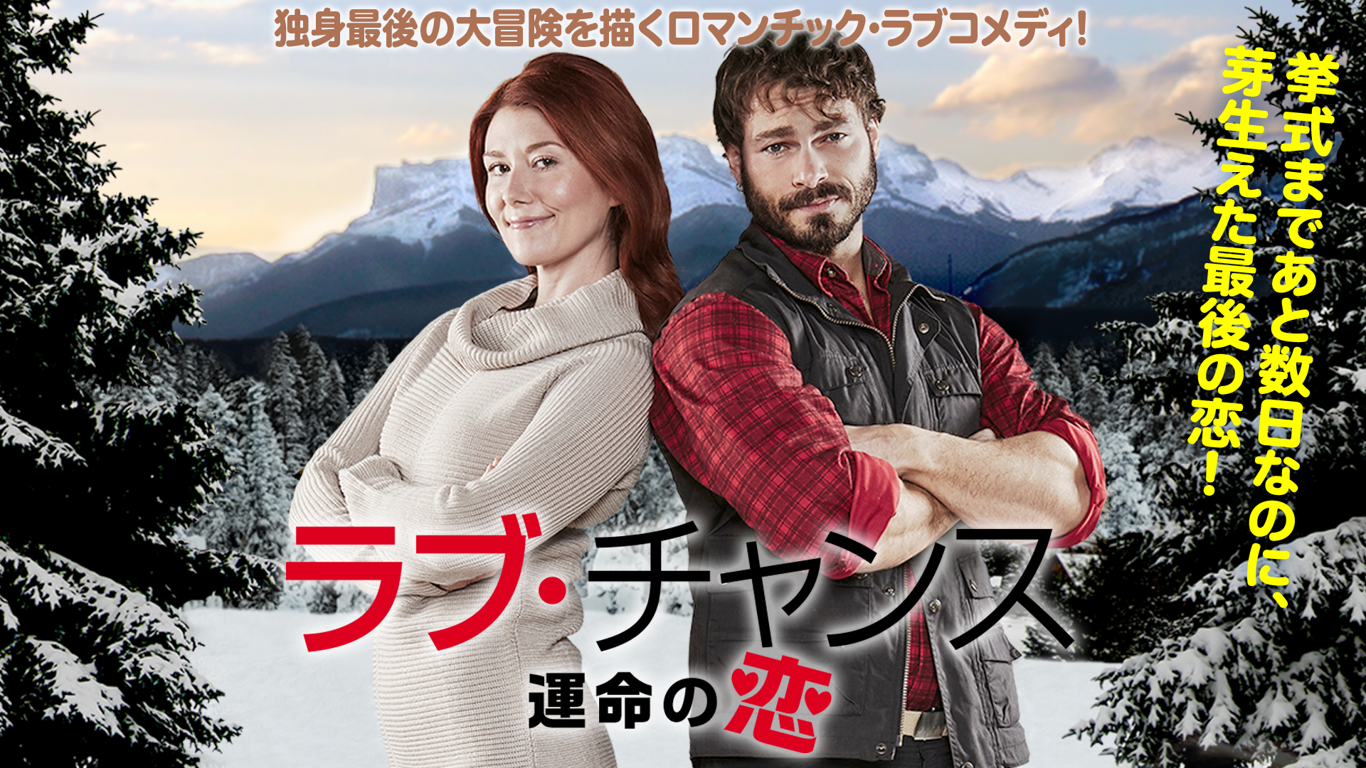 ラブ・チャンス　運命の恋 | Prime Video
